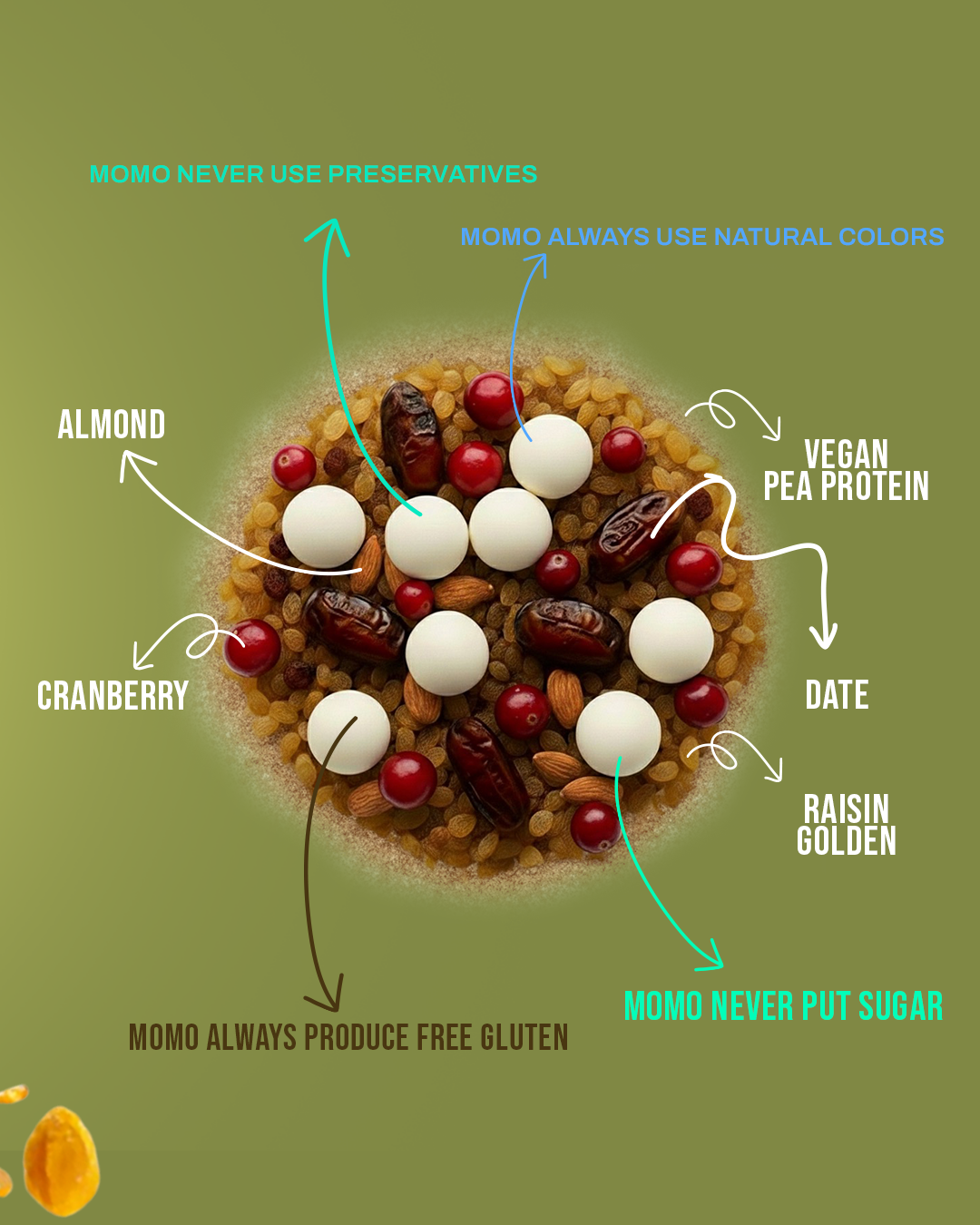 Chocomilk Protein Balls – Childhood Classic