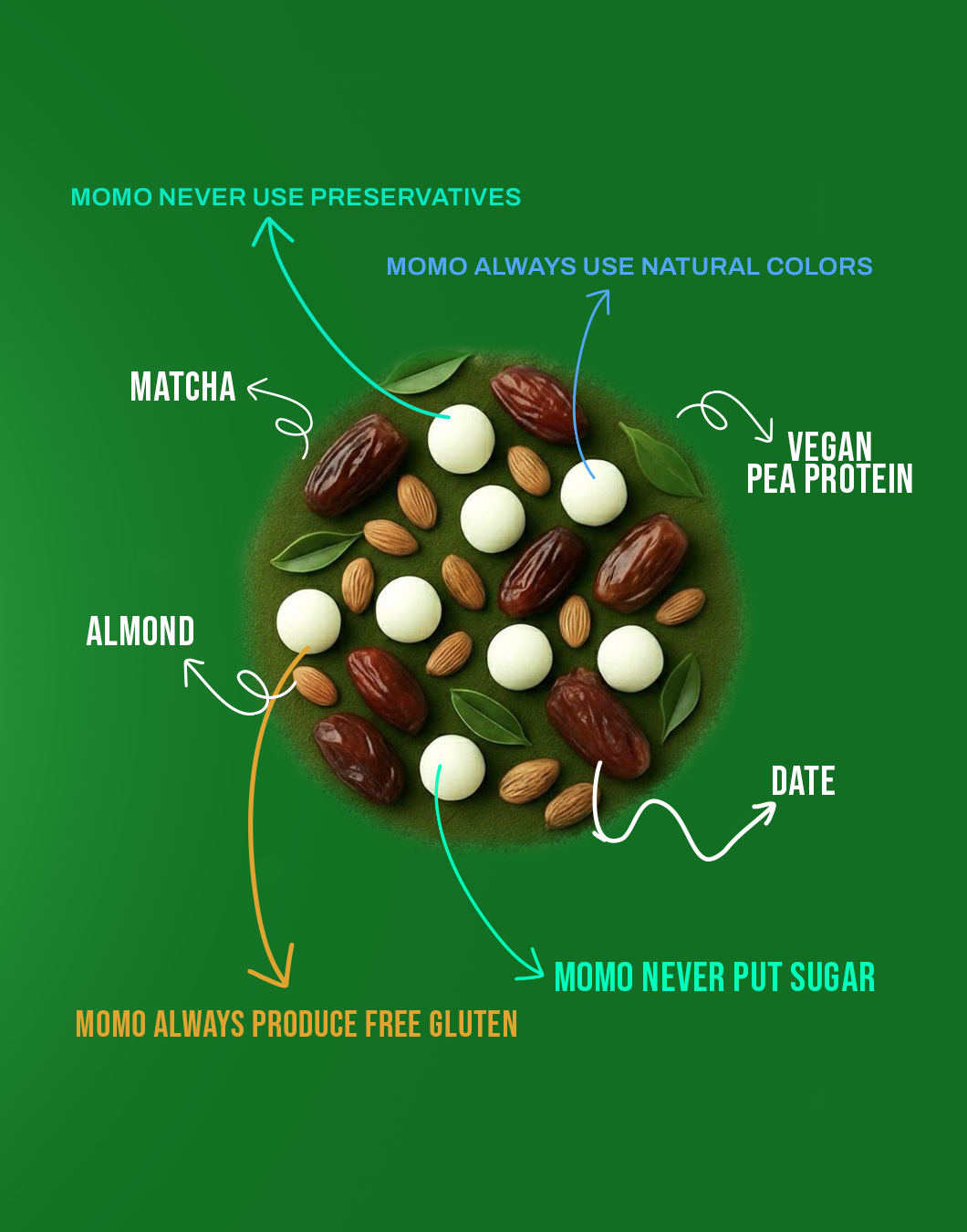 Matcha Protein Balls – Fuel Your Body, Calm Your Mind